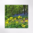 Picture of Woodland Trust notecards - wildflowers