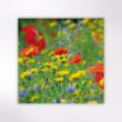 Picture of Woodland Trust notecards - wildflowers