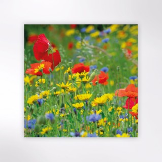 Picture of Woodland Trust notecards - wildflowers