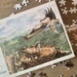 Picture of Woodland Trust Loch Arkaig osprey jigsaw