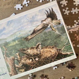 Picture of Woodland Trust Loch Arkaig osprey jigsaw