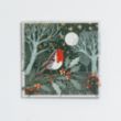 Picture of Robin under the stars - Christmas cards