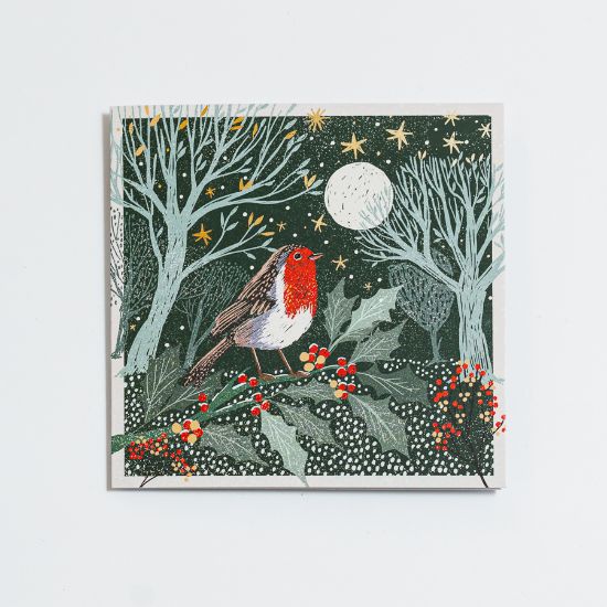 Picture of Robin under the stars - Christmas cards