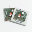 Picture of Robin under the stars - Christmas cards