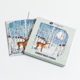 Picture of Stag by moonlight - Christmas cards