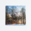Picture of Forest at sunset - Christmas cards