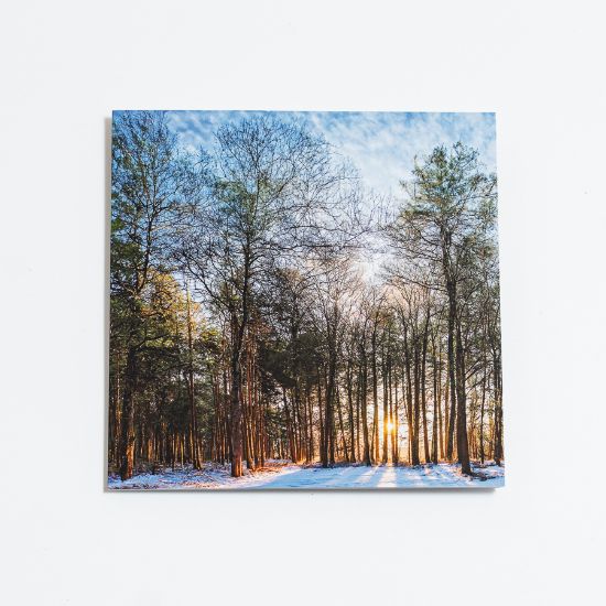 Picture of Forest at sunset - Christmas cards