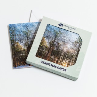Picture of Forest at sunset - Christmas cards