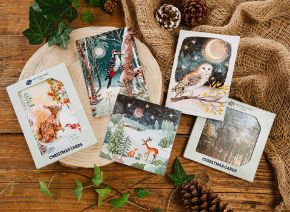 Picture for category Cards and calendars