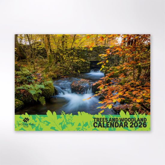 Picture of Woodland Trust tree calendar 2026