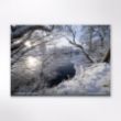 Picture of Woodland Trust tree calendar 2026