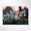 Picture of Woodland Trust tree calendar 2026