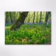 Picture of Woodland Trust tree calendar 2026