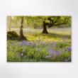 Picture of Woodland Trust tree calendar 2026