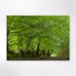 Picture of Woodland Trust tree calendar 2026