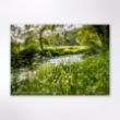 Picture of Woodland Trust tree calendar 2026