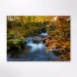 Picture of Woodland Trust tree calendar 2026