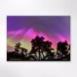 Picture of Woodland Trust tree calendar 2026