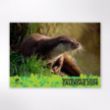 Picture of Woodland Trust wildlife calendar 2026