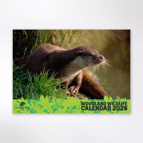 Picture of Woodland Trust wildlife calendar 2026