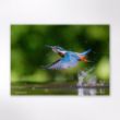 Picture of Woodland Trust wildlife calendar 2026