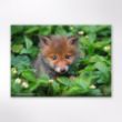 Picture of Woodland Trust wildlife calendar 2026