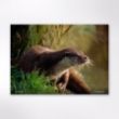 Picture of Woodland Trust wildlife calendar 2026