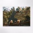 Picture of Woodland Trust wildlife calendar 2026