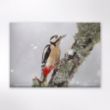 Picture of Woodland Trust wildlife calendar 2026
