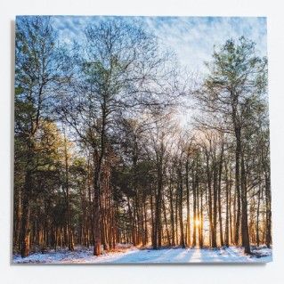 Picture of Forest at sunset - Christmas cards