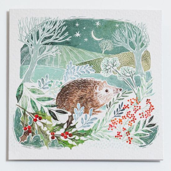 Picture of Night time hedgehog - Christmas cards