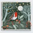 Picture of Robin under the stars - Christmas cards
