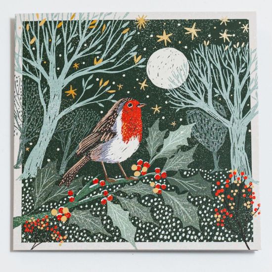 Picture of Robin under the stars - Christmas cards