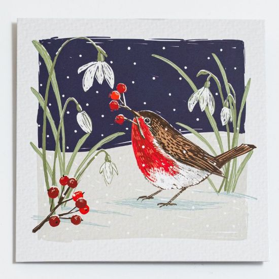 Picture of Robin with snowdrops - Christmas cards