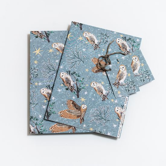 Picture of Woodland Trust gift wrap and tags – owl and stars
