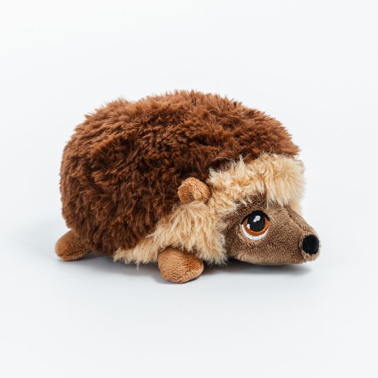 Picture of Hedgehog keeleco