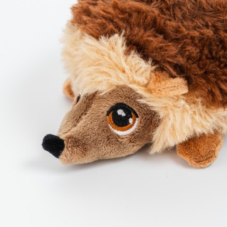 Picture of Hedgehog keeleco