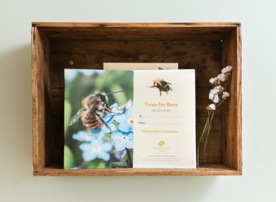 View all items in this category Picture for category Bee themed gifts