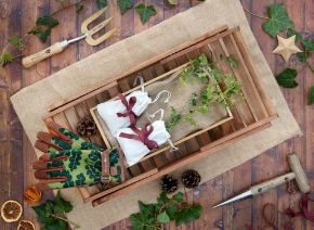 Picture for category Garden trees