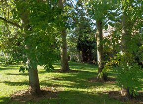 Picture for category Tree mixes