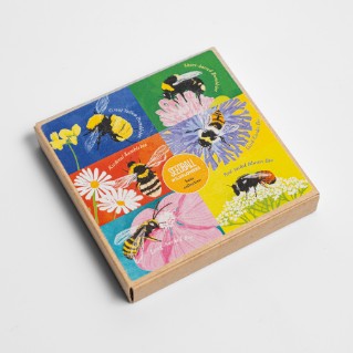 Picture of Seedball bees collection seed box set