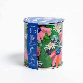 Picture of Seedball wildflower grow kit -chamomile