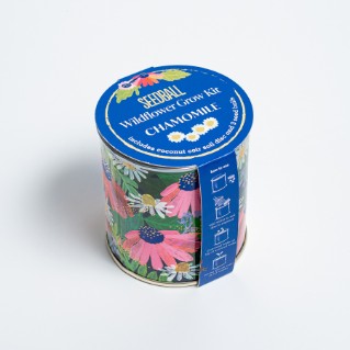 Picture of Seedball wildflower grow kit -chamomile