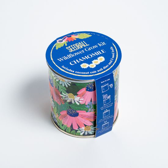 Picture of Seedball wildflower grow kit -chamomile
