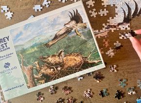 Picture for category Jigsaws