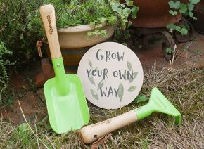 Picture for category Toys