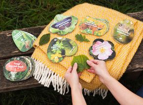 Picture for category Books