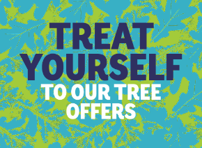 Picture for category Tree offers