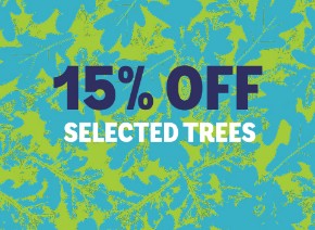 Picture for category Tree offers