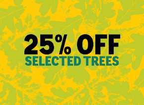 Picture for category 25% off